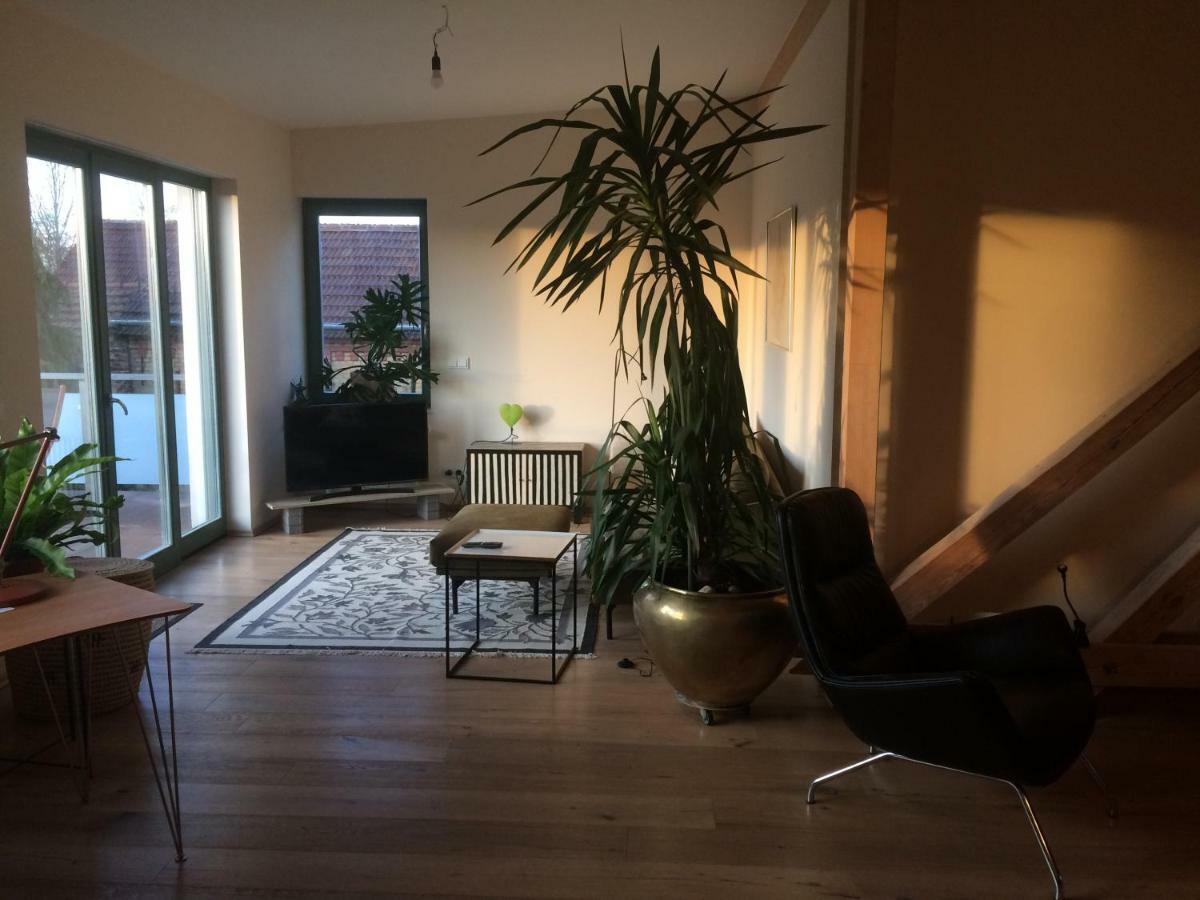Kranichhof - Studio, Loft & Atelier زوسين المظهر الخارجي الصورة