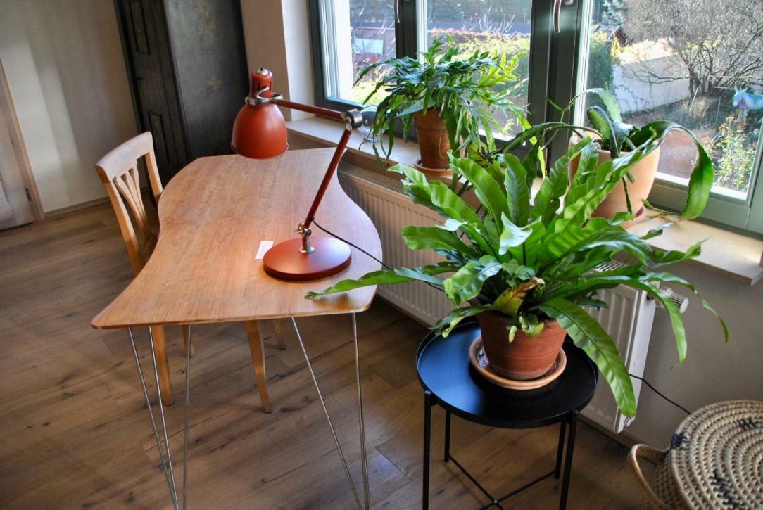 Kranichhof - Studio, Loft & Atelier زوسين المظهر الخارجي الصورة
